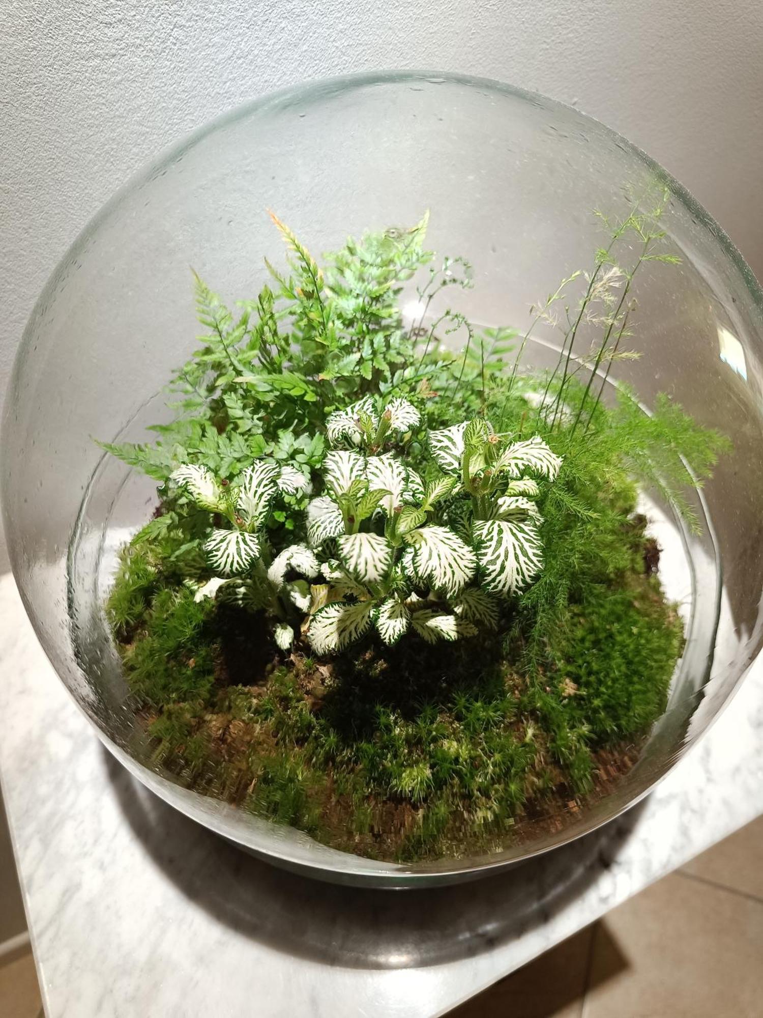 Villa Istonia 쿠펠로 외부 사진